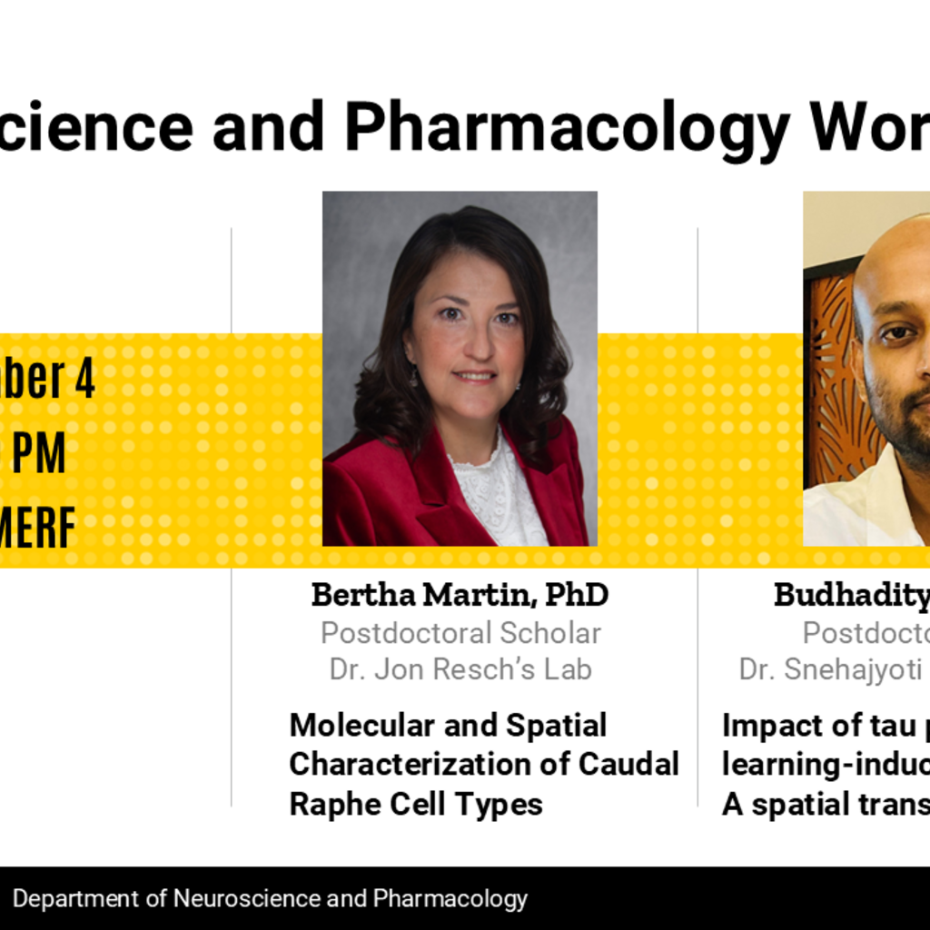 Neuroscience & Pharmacology Workshop - Bertha Martin, PhD & Budhaditya Basu, PhD promotional image