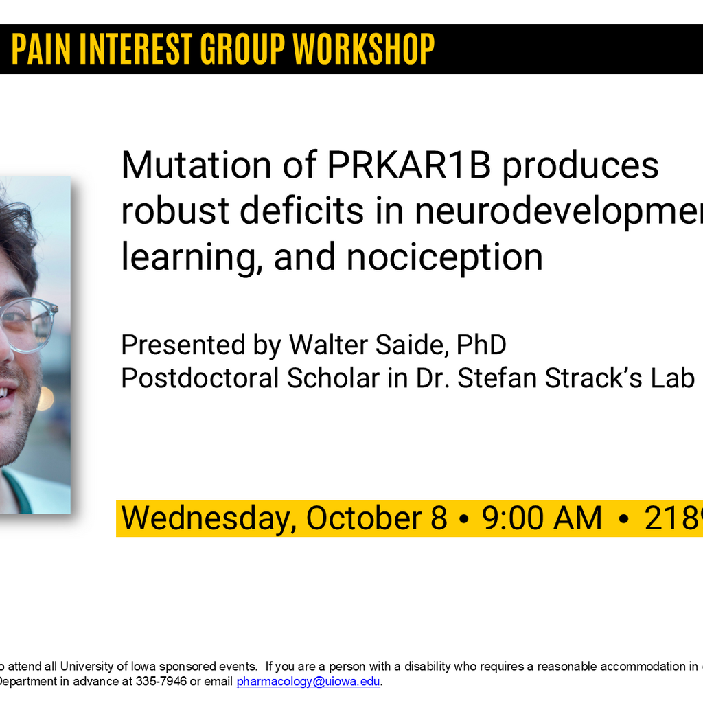Pain Interest Group Workshop - Walter Saide, PhD promotional image