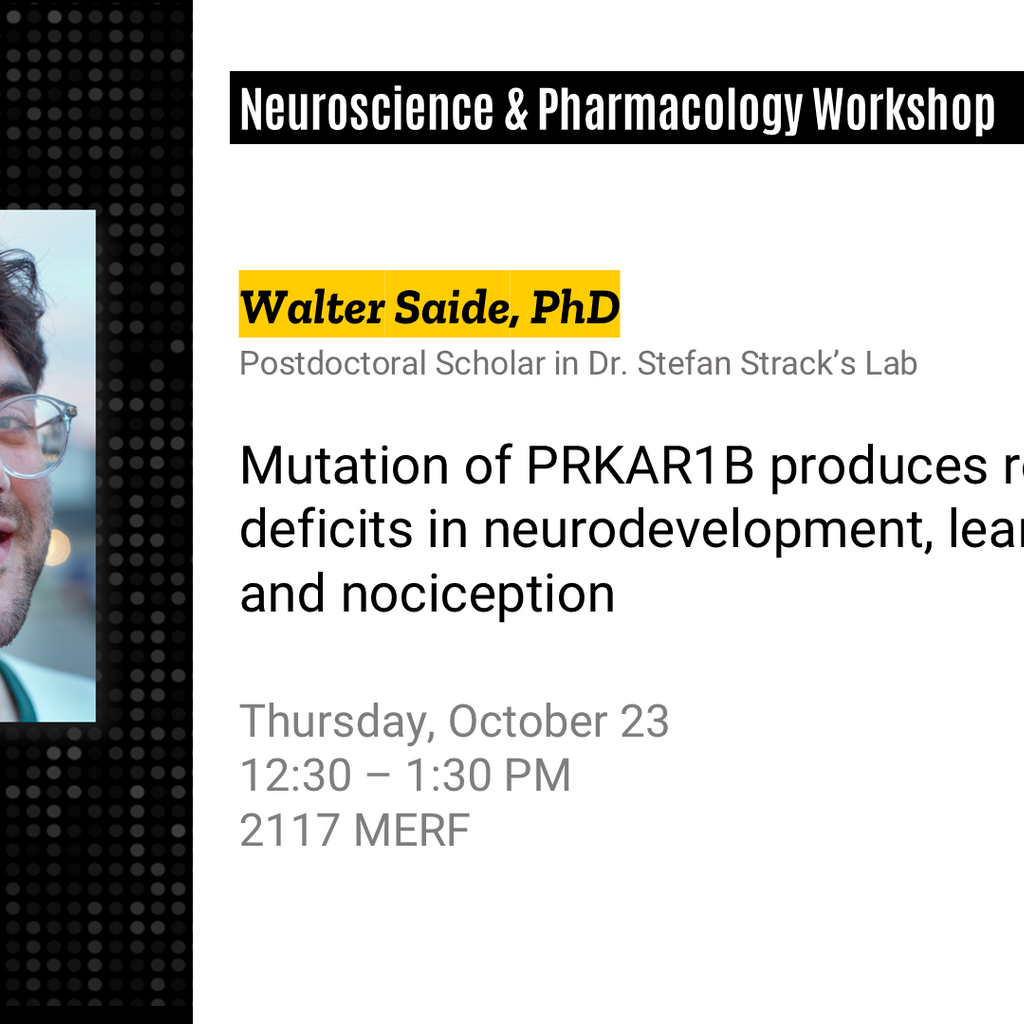 Neuroscience and Pharmacology Workshop - Walter Saide, PhD promotional image