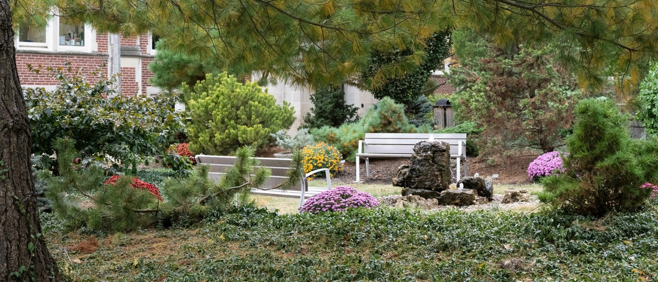 Conifer Garden